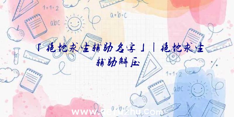 「绝地求生辅助名字」|绝地求生辅助解压